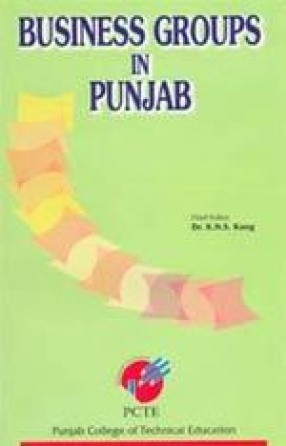 Business Groups in Punjab