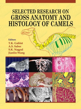 Selected Research on Gross Anatomy and Histology of Camels