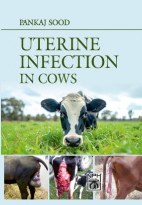 Uterine Infection in Cows