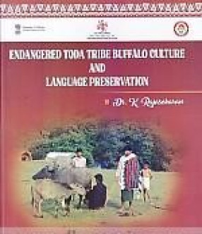 Endangered Toda Tribe Buffalo Culture and Language Preservation 