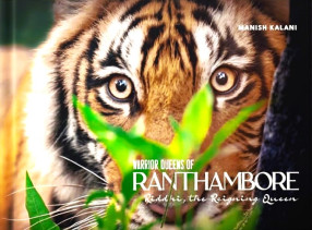 The Warrior Queens of Ranthambore: Riddhi, the Reigning Queen