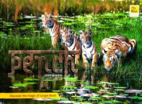 Pench Tiger Reserve Discover the Magic of Jungle Book