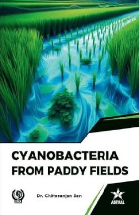 Cyanobacteria from Paddy Field