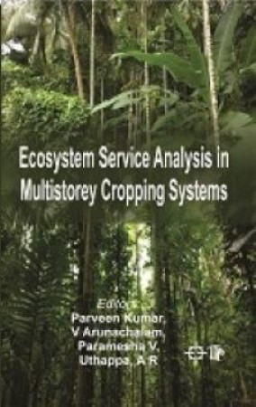 Ecosystem Service Analysis in Multistorey Cropping Systems