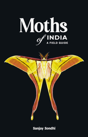 Moths of India: A Field Guide