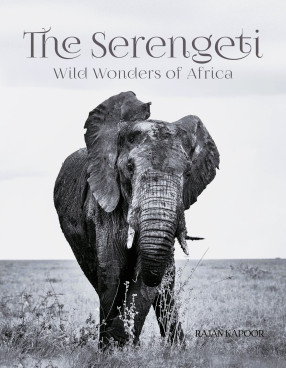 The Serengeti: Wild Wonders of Africa