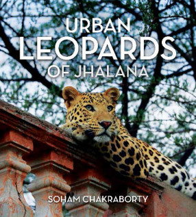 Urban Leopards of Jhalana