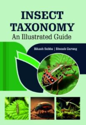 Insect Taxonomy: An Illustrated Guide